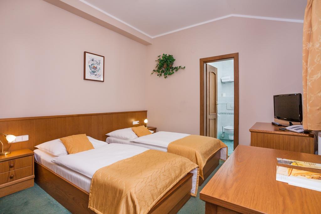 Hotel Jelinkova Vila Velké Meziříčí Cameră foto